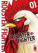 Rooster Fighter